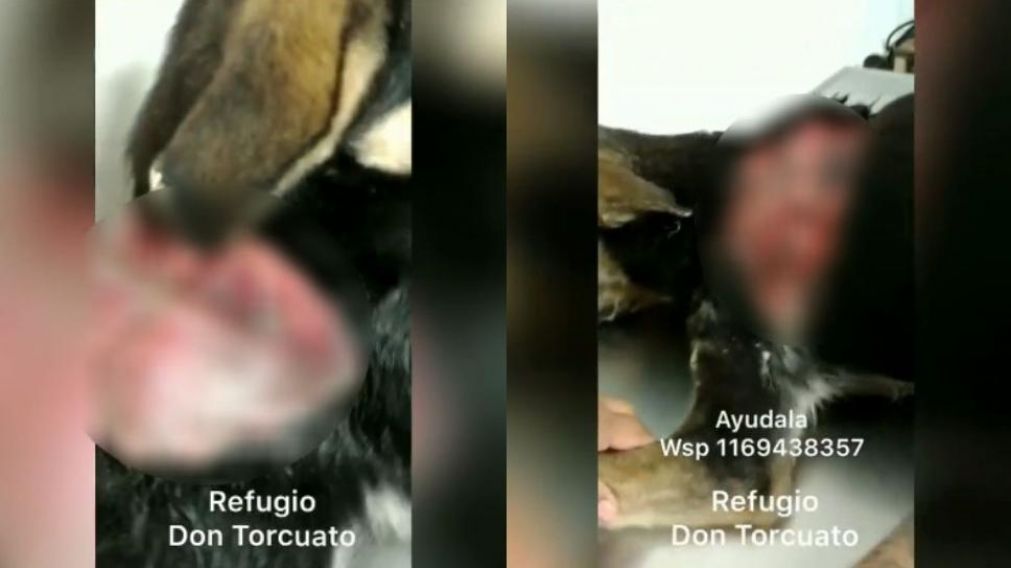 Analizan someterla a un implante de piel (Foto: Facebook)