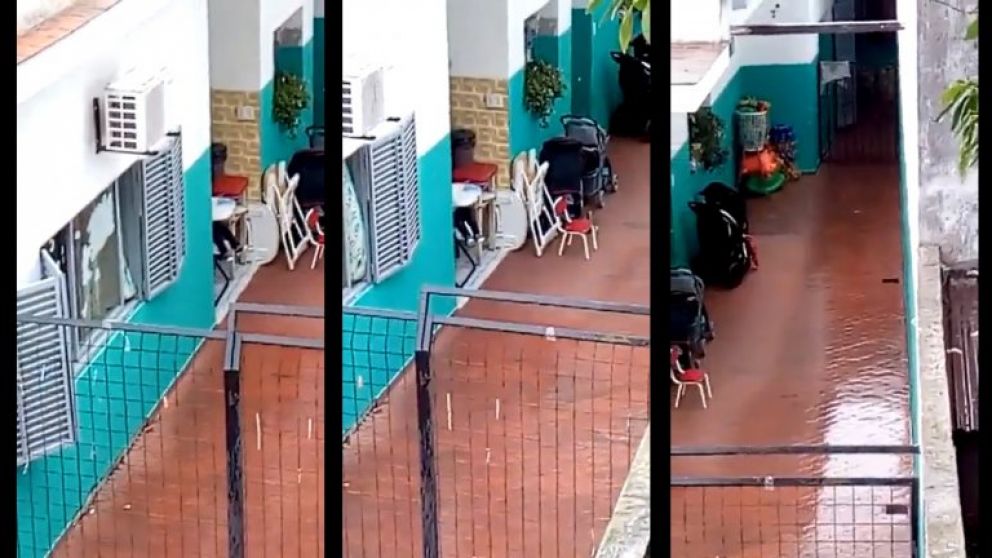 Las polémicas imágenes. (Captura de video)