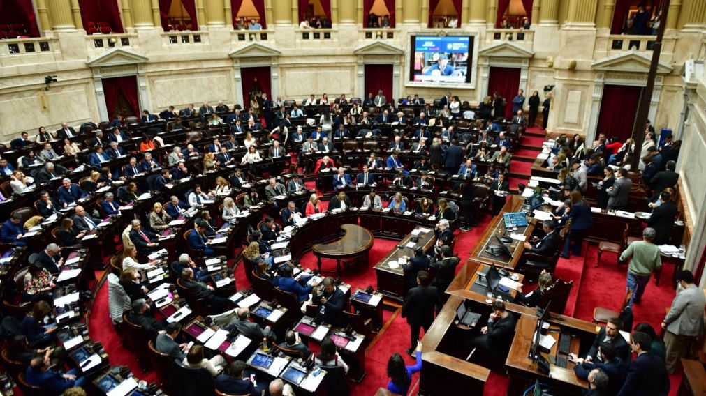 En Diputados, la oposición buscará avanzar con los pedidos de informes al Gobierno por el caso ANDIS (Foto NA).