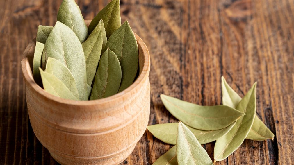 Esta planta aromática se convierte en protagonista de prácticas cotidianas que buscan bienestar, protección y limpieza sin químicos (Gentileza: Freepik).