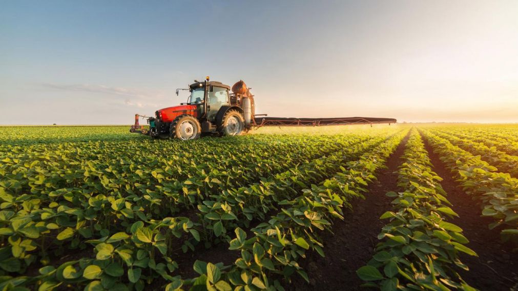 Poca exportaci�n de soja, hasta el momento.