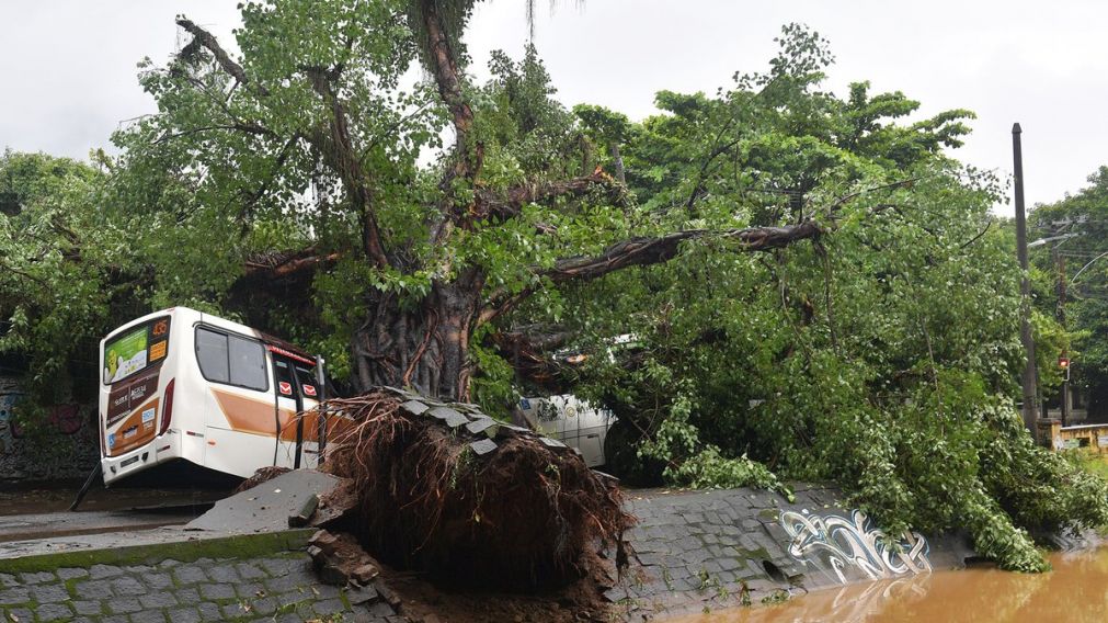 Trágico temporal en Río de Janeiro: destrozos y muertes. (Gentileza: @fmespacio917)