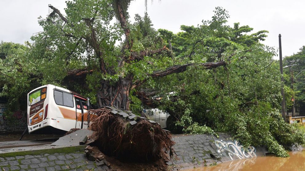 Trágico temporal en Río de Janeiro: destrozos y muertes. (Gentileza: @fmespacio917)