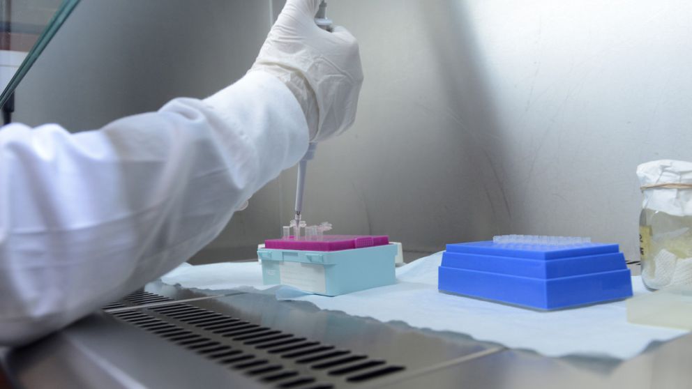 Argentina entró en alerta tras los casos en Colombia y Venezuela.