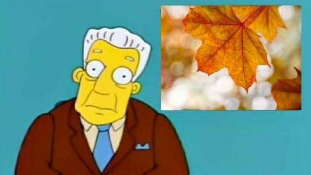 Los memes m�s graciosos del "verano" en pleno oto�o