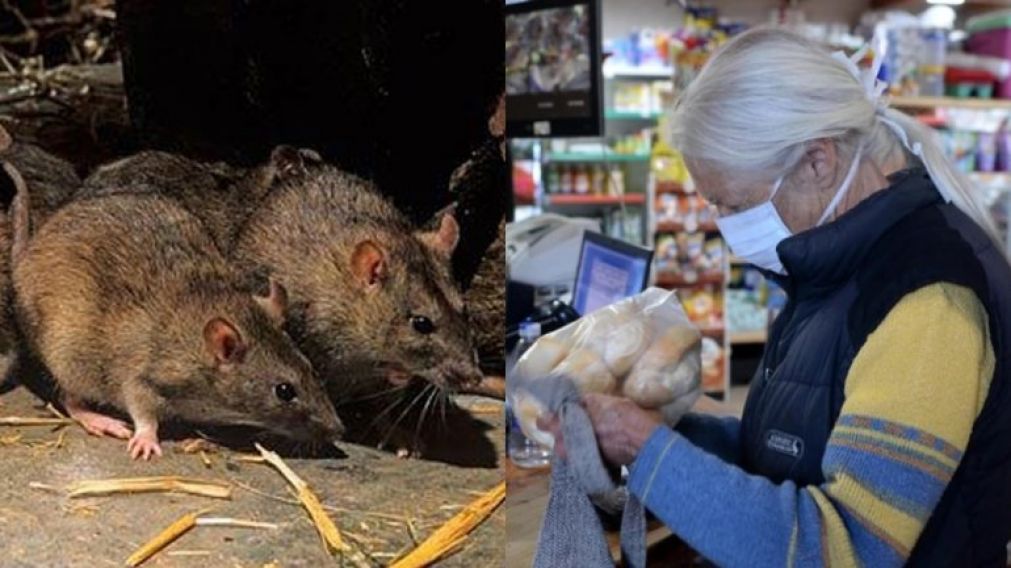 El hantavirus había obligado a los vecinos del pequeño pueblo de Epuyén a utilizar barbijo.
