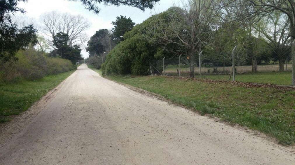 En este lugar encontraron al joven baleado.