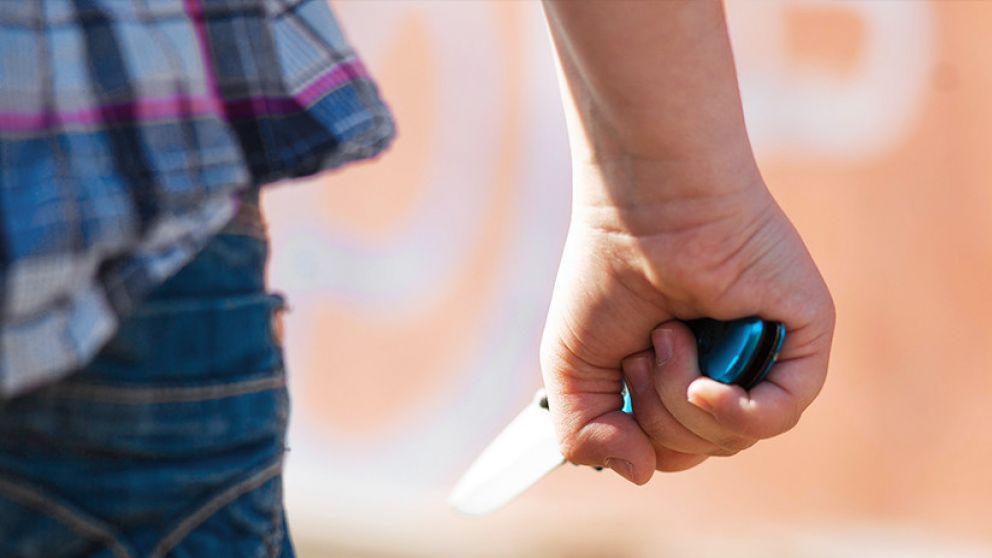 El pibe fue arrestado tras pasar un día entero escondido en un restaurant.