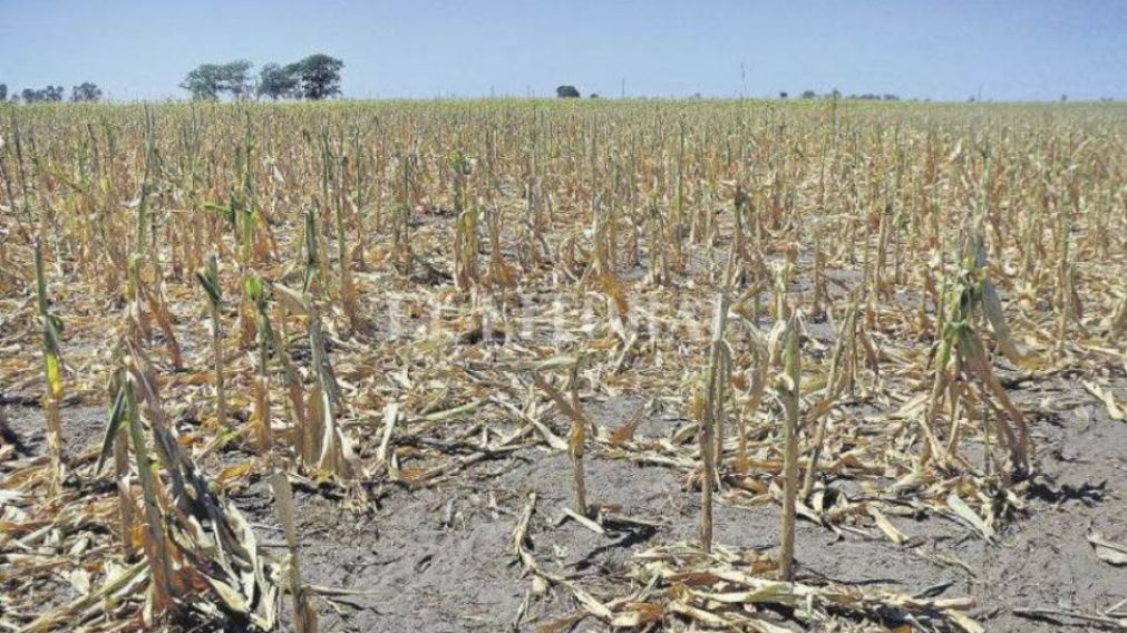 La sequía afectó las cosechas y las exportaciones agrícolas.