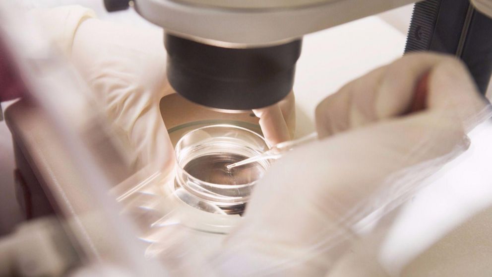 Inseminaci�n artificial. Los procedimientos son largos y costosos. (Imagen ilustrativa)