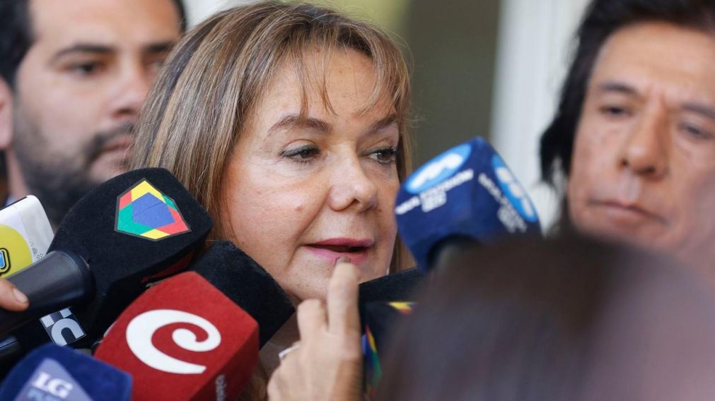 La directora del Hospital Olga Fernández, fue la encargada de brindar el parte médico. (Télam)