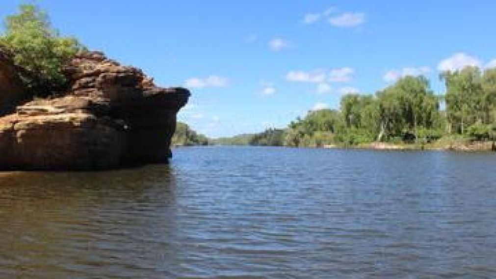 Encuentran un pez "alienígena" en Australia