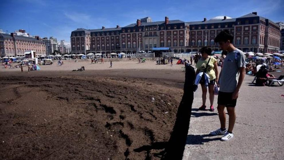 Chicos miran las algas que llegaron al borde de la playa (Gentileza: Ahora Mar del Plata).