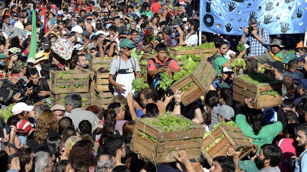 Se donaron 20 toneladas de hortalizas. (Fernando Pérez Re/Crónica).