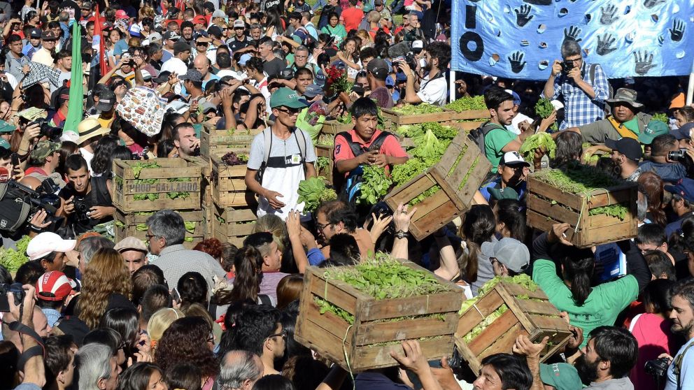 Se donaron 20 toneladas de hortalizas. (Fernando Pérez Re/Crónica).