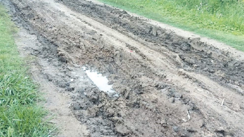 En este estado están las calles de Loma Verde.