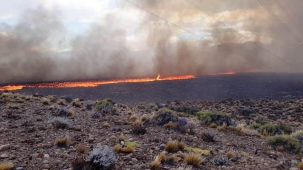 Desesperación por fuego incontrolable en Chubut