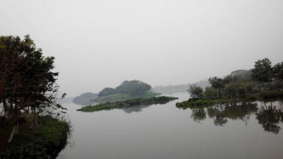 Pánico por "monstruo" acuático con cabeza de serpiente y cuerpo de tortuga