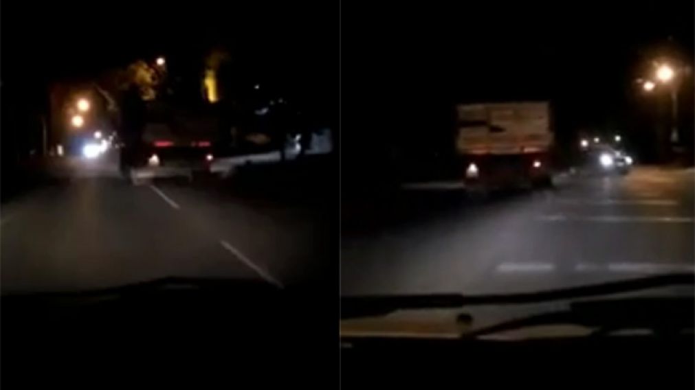 Un automovilista debió esquivarlo para no chocar de frente.