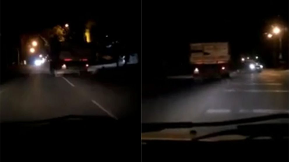 Un automovilista debió esquivarlo para no chocar de frente.
