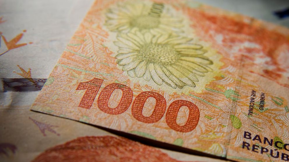 ANSES: �Qu� personas van a cobrar un extra de $80.000 antes de fin de a�o?