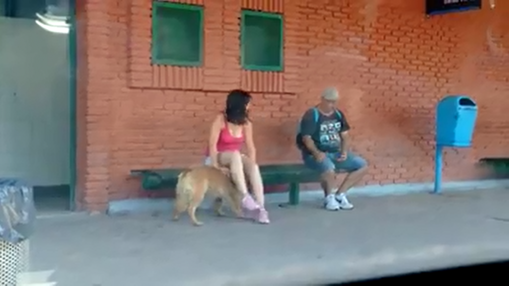 La mujer abandonó a su mascota en el andén de la estación Guernica del Roca.