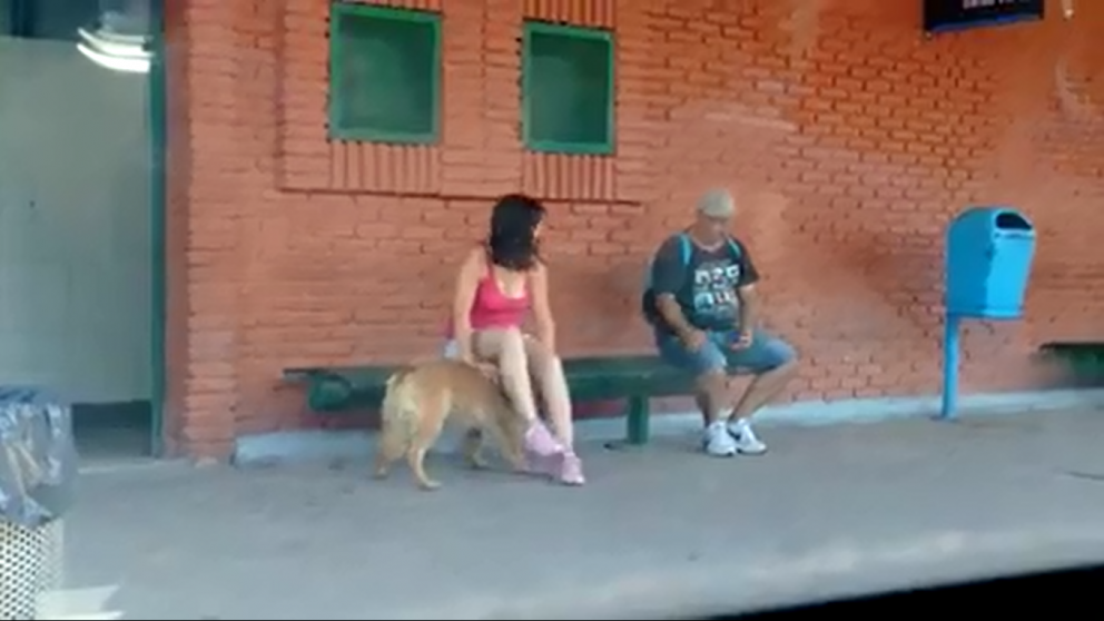 La mujer abandonó a su mascota en el andén de la estación Guernica del Roca.