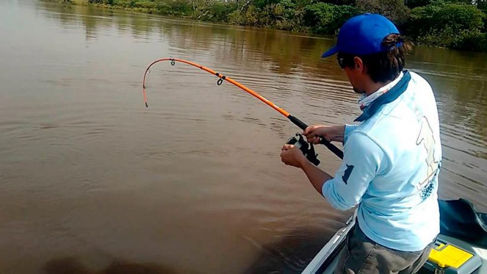 El Paraná ofrece grandes ejemplares para pescar.