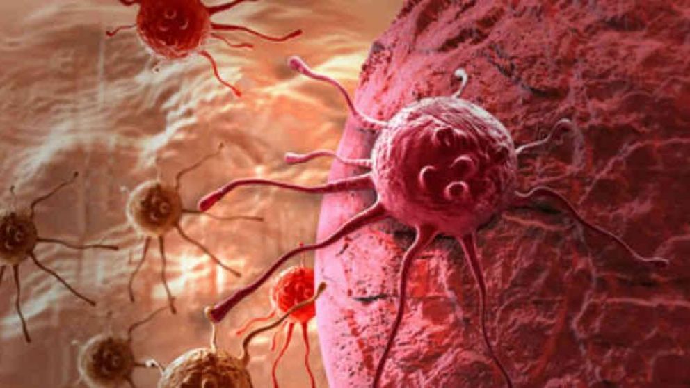 El fármaco. Controlaría la metástasis para al fin terminar con la dura enfermedad. (Imagen archivo)