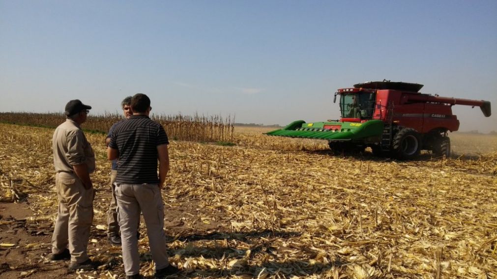 El agro generó puestos de empleos, pero no fueron suficientes.