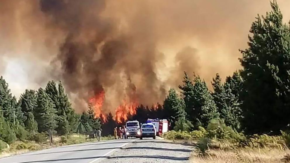 Los bosques continúan ardiendo en La Rinconada.