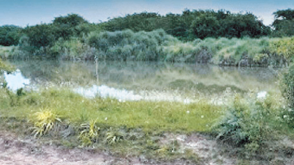 Acá fue encontrado el joven sin vida.