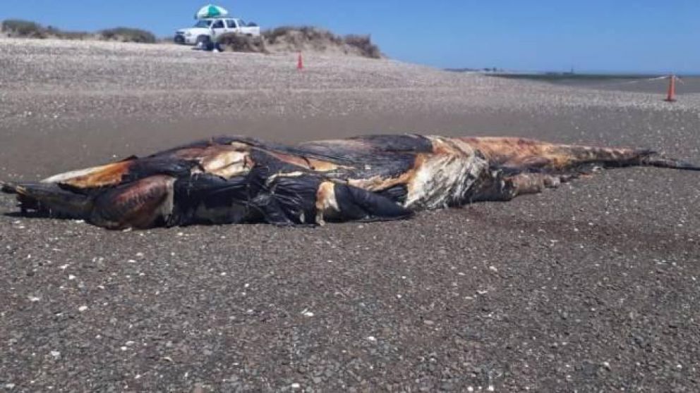 El cuerpo fue arrastrado durante la noche por la marea.