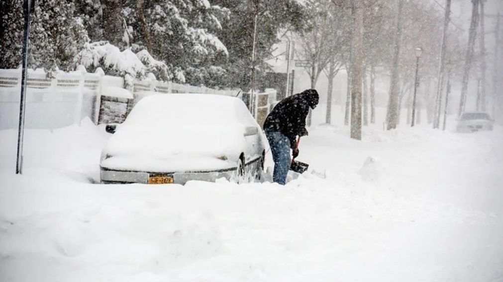 La nieve y el hielo cubrieron autos, calles y �rboles. 