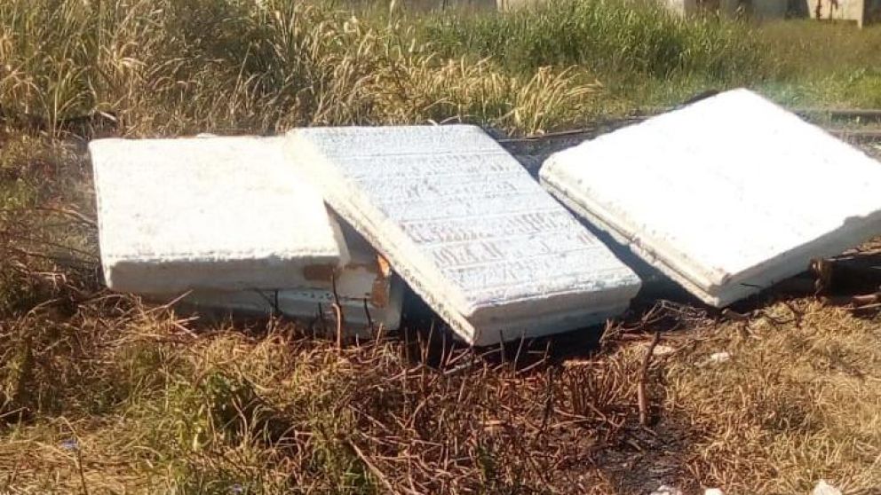 Esteban y los vecinos llamaron a sanidad y la municipalidad, solo consiguieron que tapen al animal con tierra y telgopor.