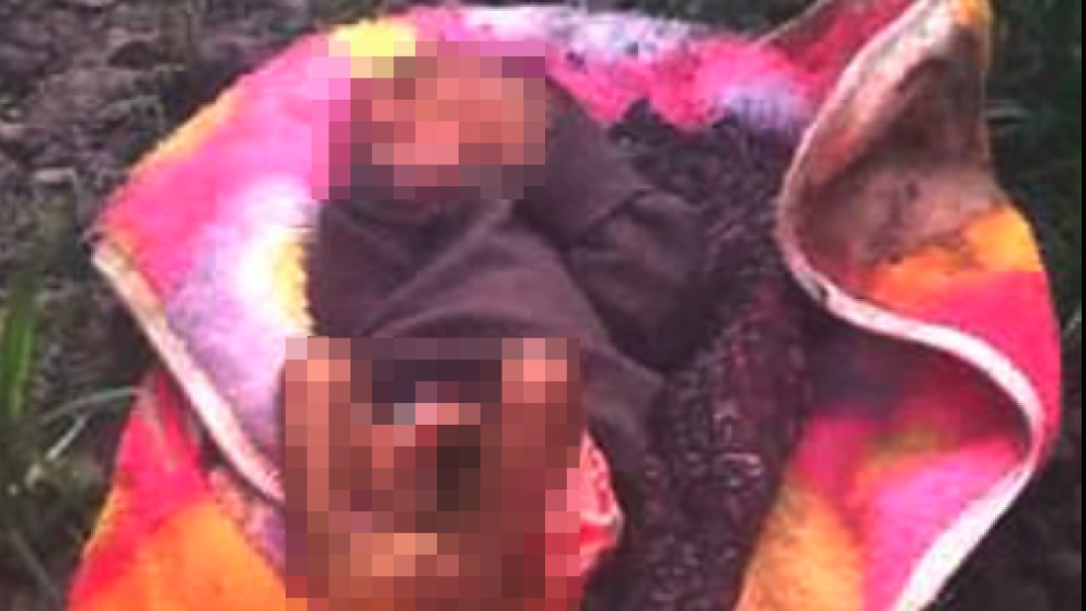 La criatura fue encontrada por un hombre que pasó caminando y escuchó el llanto.