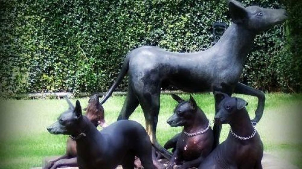 El animal causó furor en twitter e Instagram.