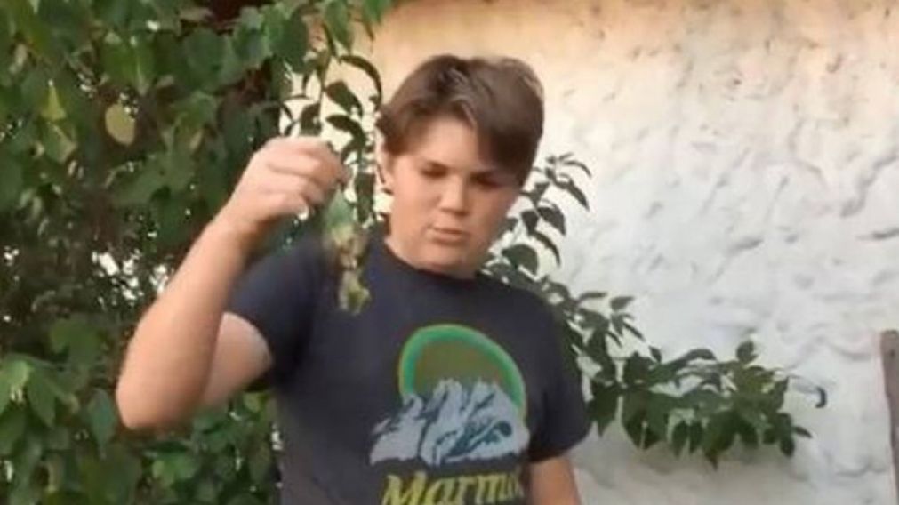 Captura del video donde el nene entierra al animalito.