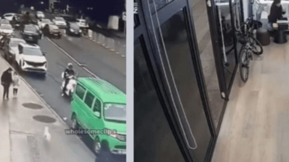 Emocionante reencuentro entre un perro perdido y su dueña.