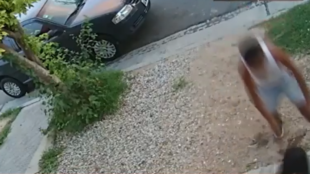 El hombre revolcó y golpeó a su víctima (Captura de video).