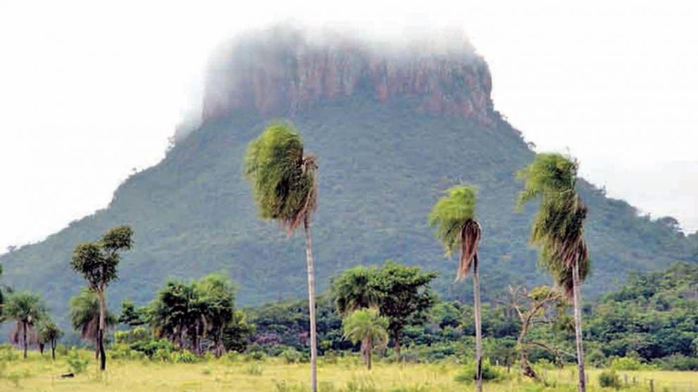Hay una teoría que los erráticos navegantes vikingos desembarcaron en Centroamérica antes que Colón.