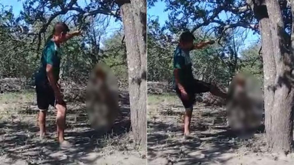 Capturas del video que hizo un chico al captar la indigante situaci�n.