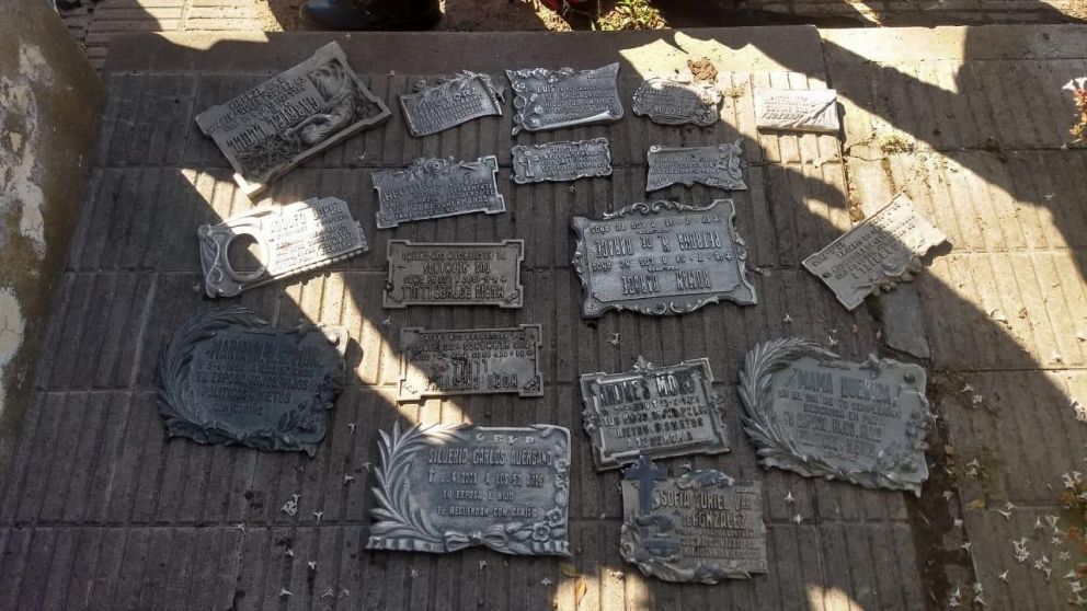 Algunas de las placas recuperadas.