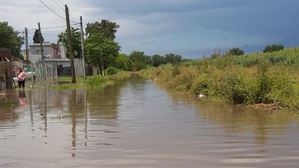 Insólito: así un perro sacó a pasear a su dueño en kayak por las calles inundadas