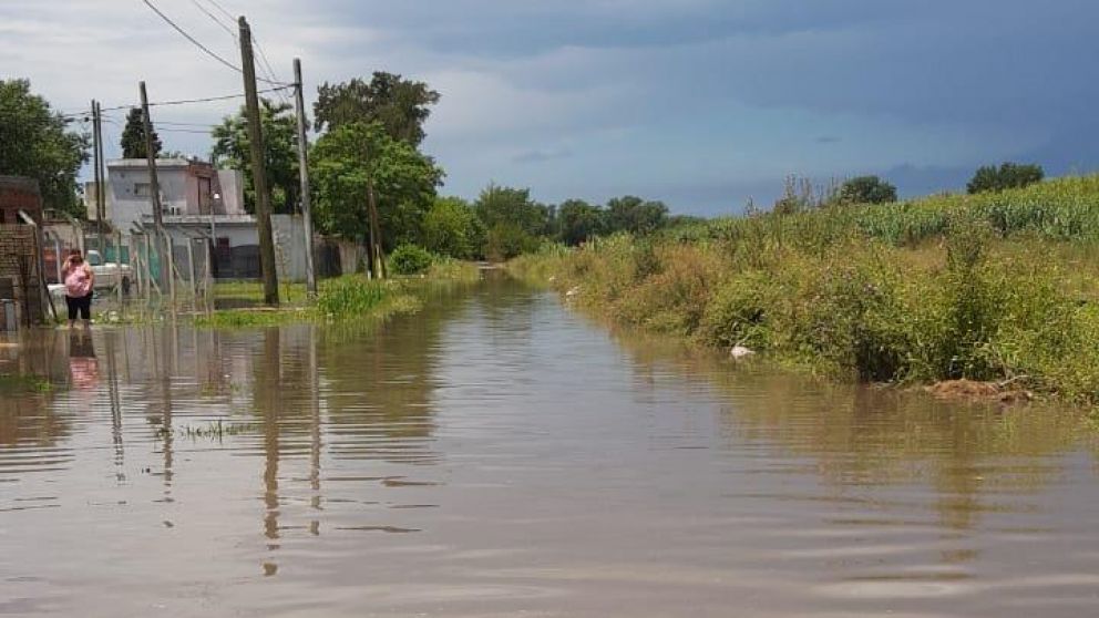 Insólito: así un perro sacó a pasear a su dueño en kayak por las calles inundadas