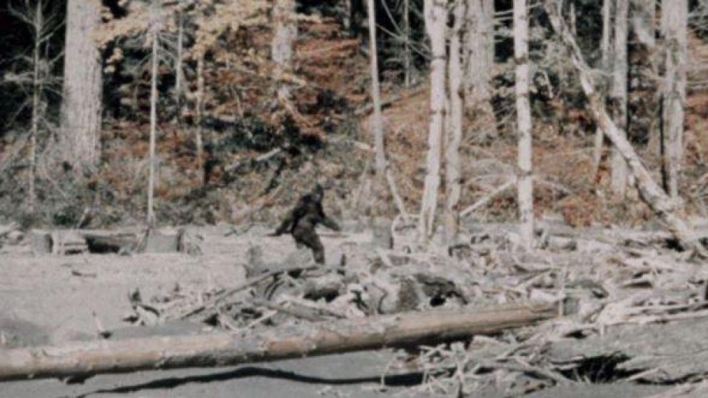 El sheriff del condado busca al agresor para detenerlo. (Imagen ilustrativa).