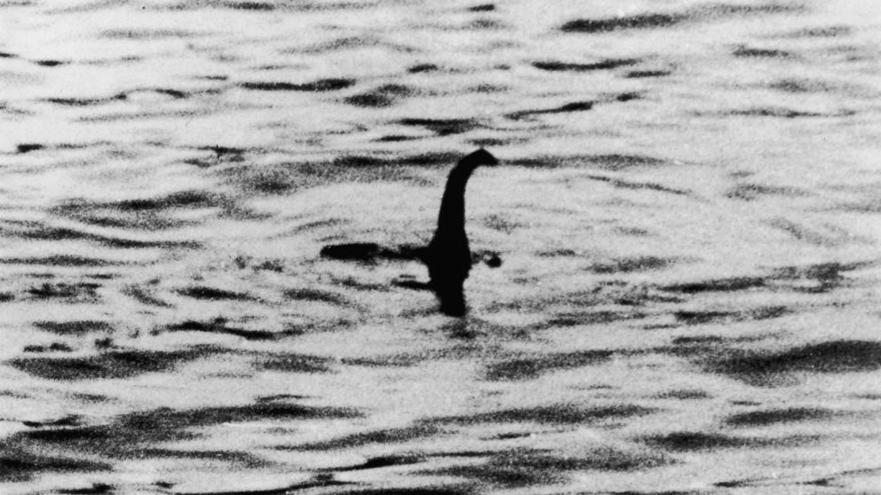 Diferentes han sido las historias donde personas se encontraron con la criatura. (Imagen ilustrativa)