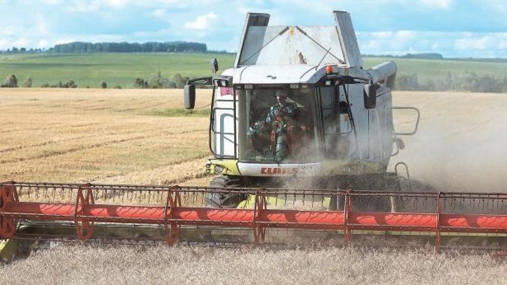 El agro, el sector mejor preparado para el nuevo escenario.