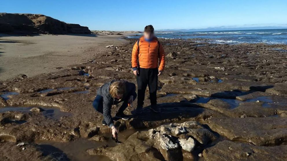En esta playa de Miramar, la familia encontró los huesos de un oso perezoso. (Facebook Municipalidad de General Alvarado)