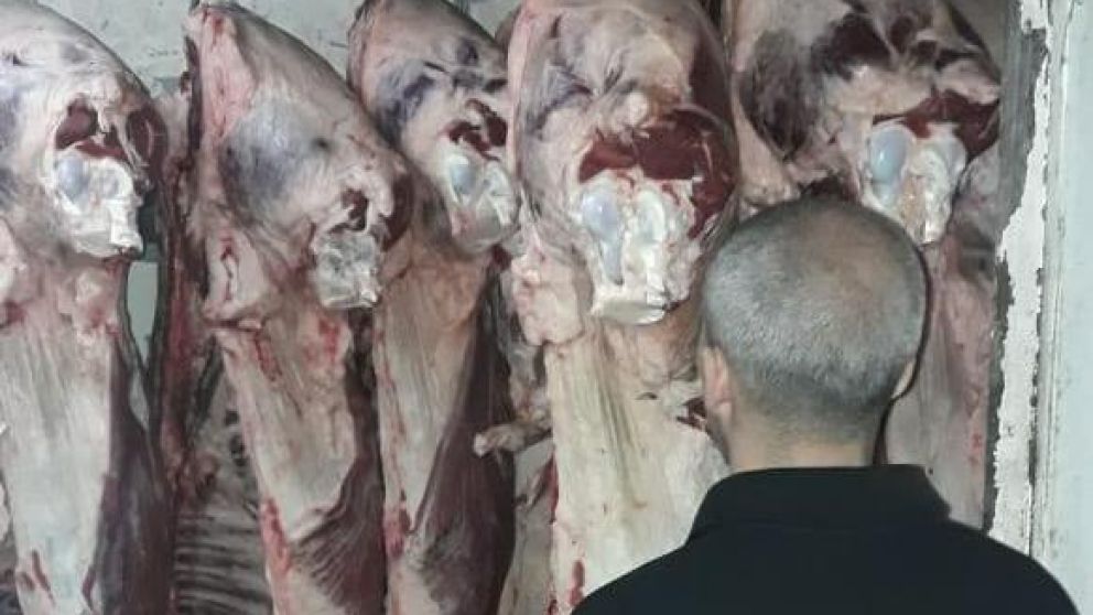 La DDI pudo descubrir que se trataba de un auto robo.